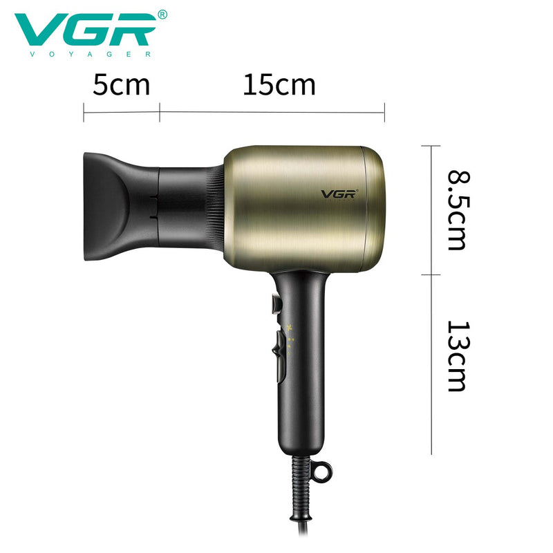 Gold Professional Hair Dryer V-453