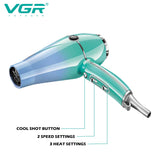 High Speed Professional Hair Dryer V-452